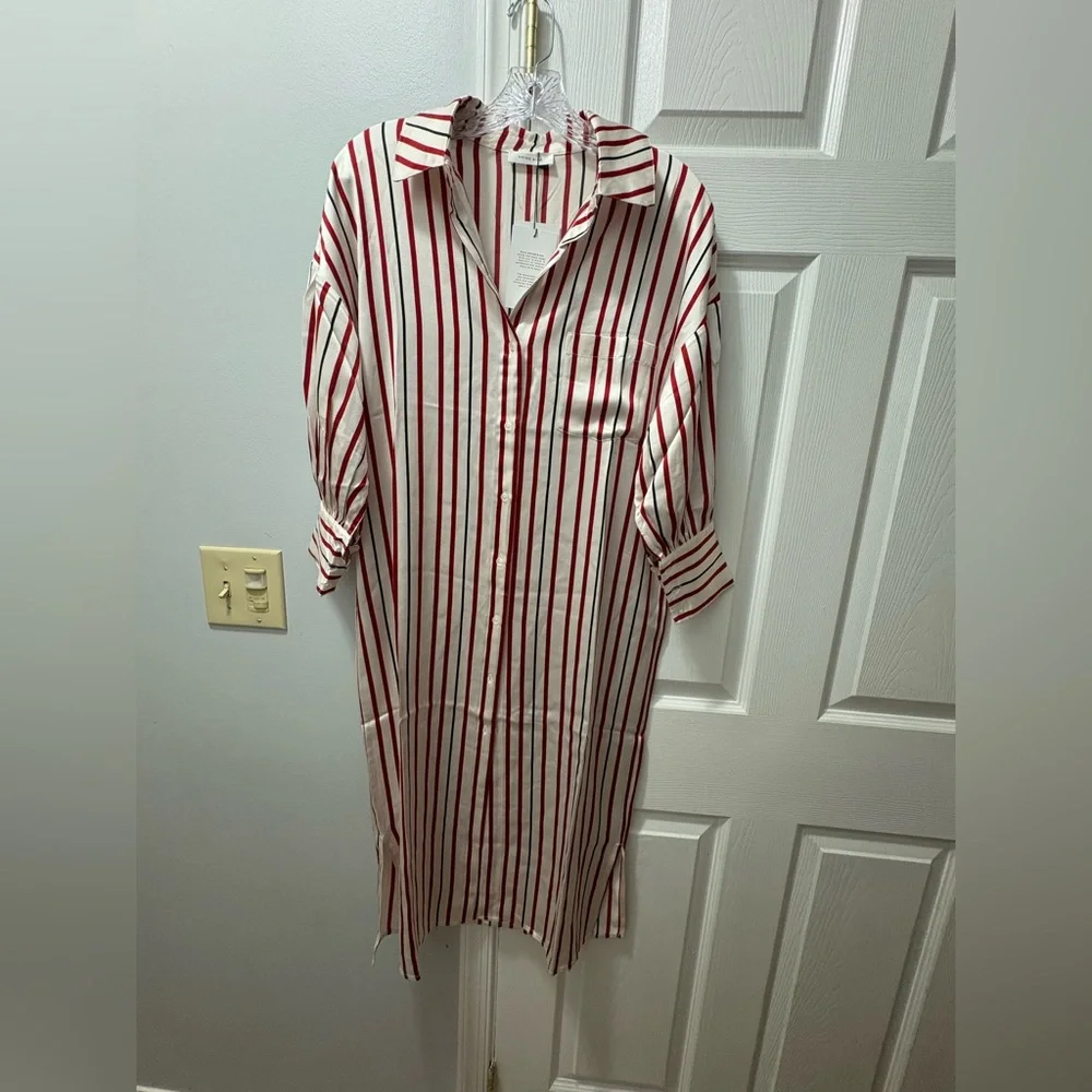 Anine Bing Striped Silk Milly Shirt Dress Size XS- Runs Oversized - Picture 2 of 6